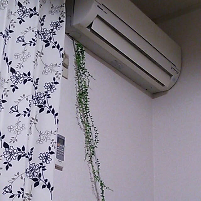 ayameさんの実例写真