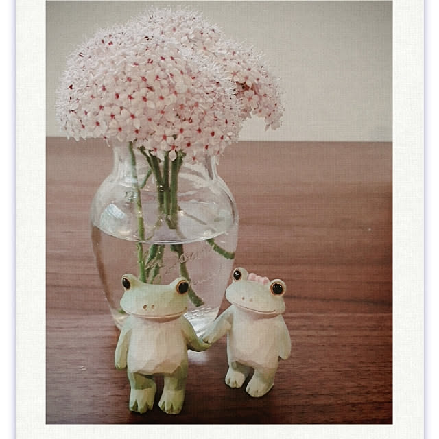 cottoncandyさんの実例写真
