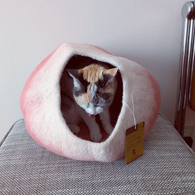 tacomozさんの実例写真