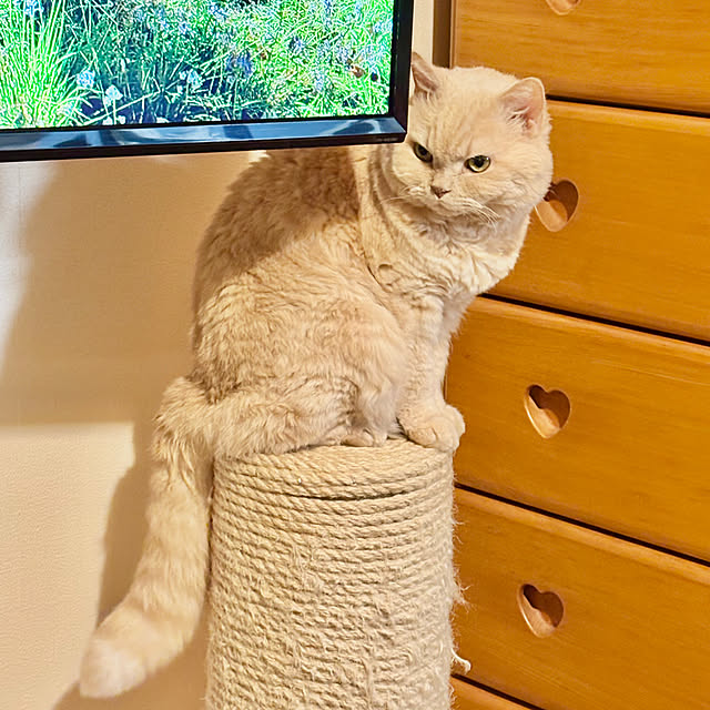 naokoさんの部屋