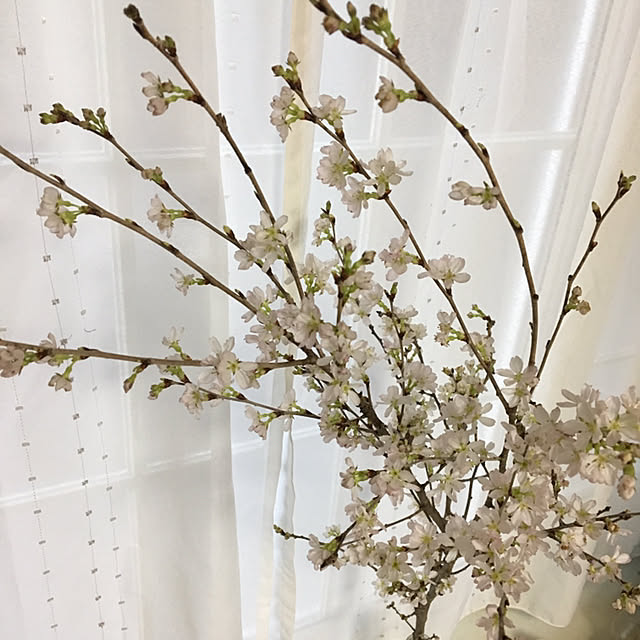 YUKIさんの実例写真