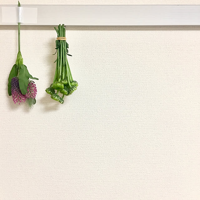 g.itamiさんの実例写真