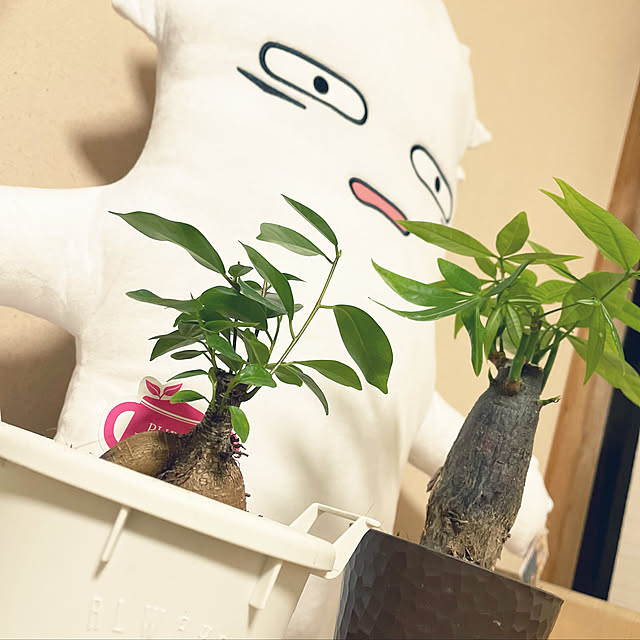 rururuさんの実例写真