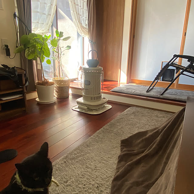 taakoさんの部屋