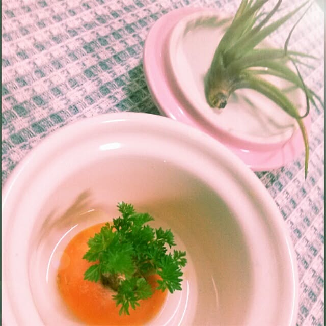 minaさんの実例写真