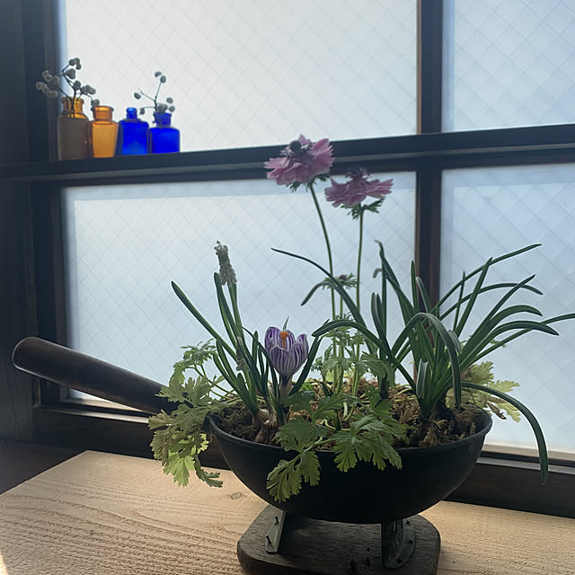 aiさんの実例写真