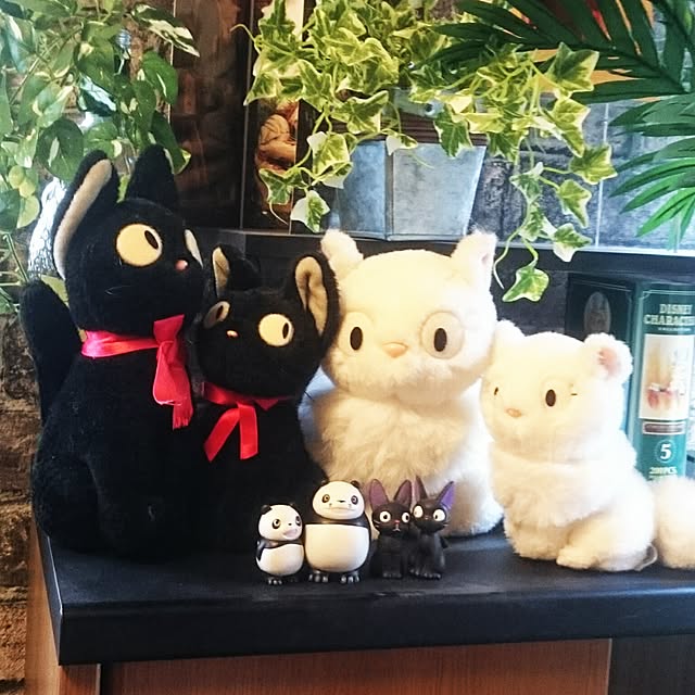 Yuki_sharaさんの実例写真