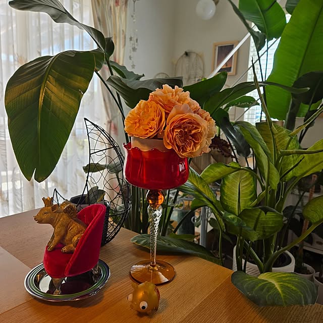 nonbiri_house_さんの部屋