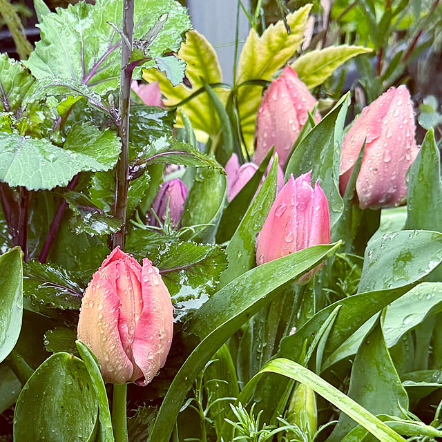 DAYONEさんの部屋