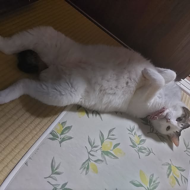 yuuさんの部屋