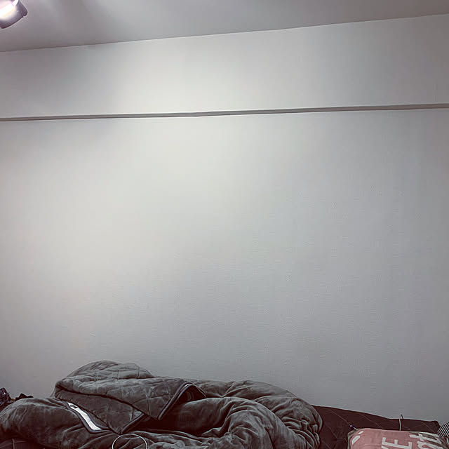 壁/天井のインテリア実例 - 2019-11-09 22:28:28