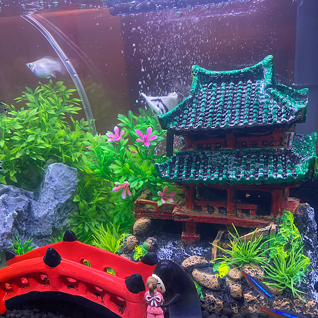 実例写真