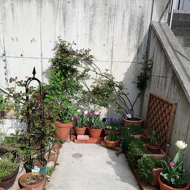 kazuさんの部屋