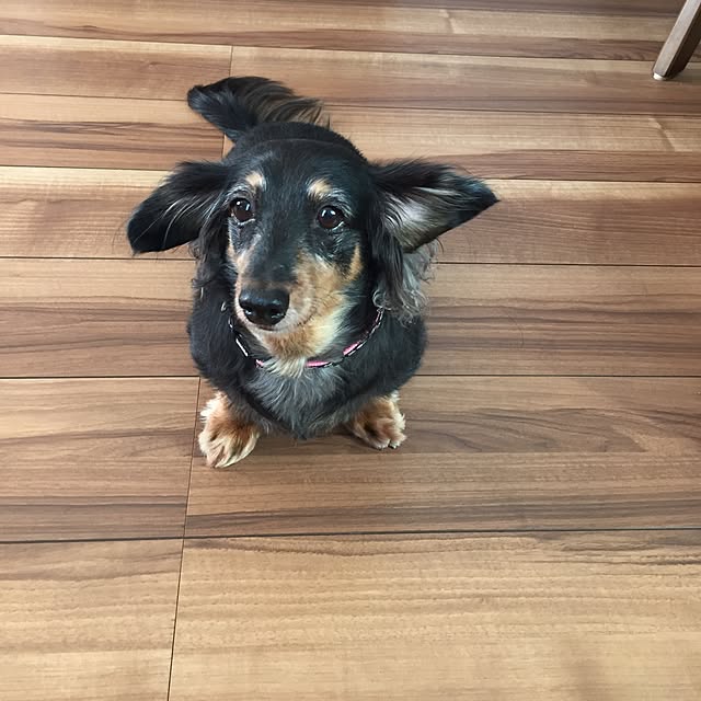 yumitakaさんの実例写真