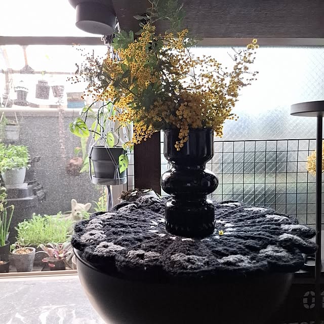 noaさんの実例写真