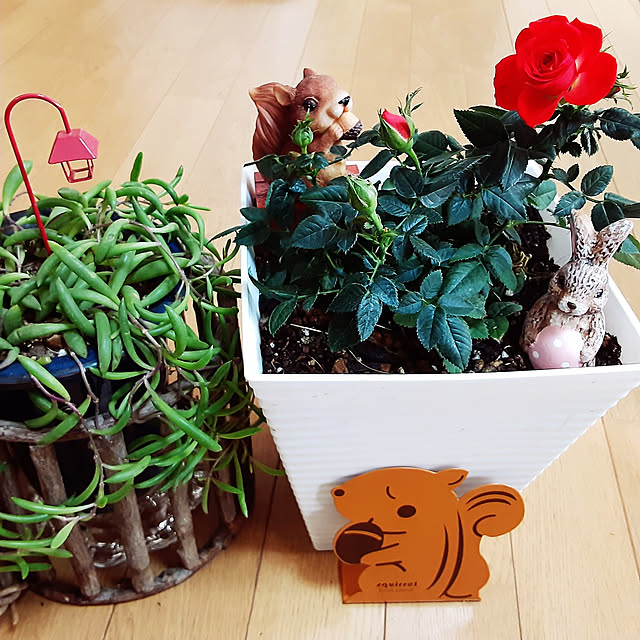 katさんの実例写真