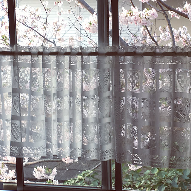 burgundy.roseさんの実例写真