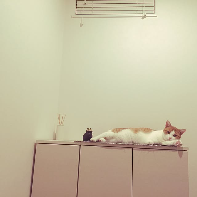 myk93さんの実例写真