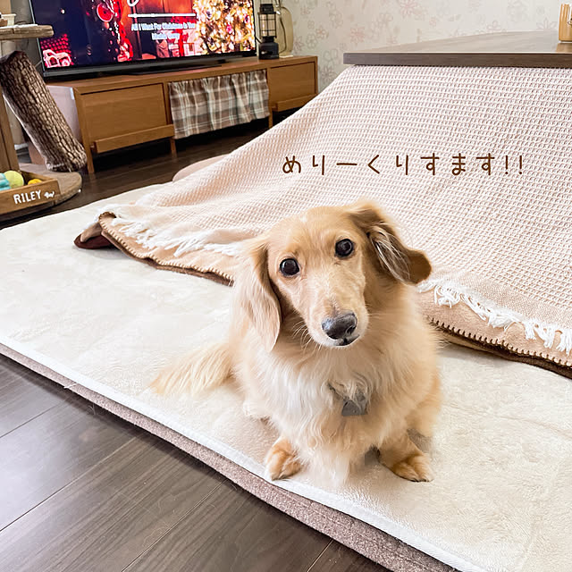 -Riley-mama.-さんの部屋