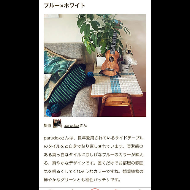 parudoxさんの実例写真