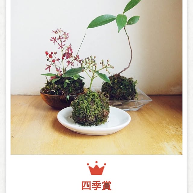 rieco.211さんの実例写真