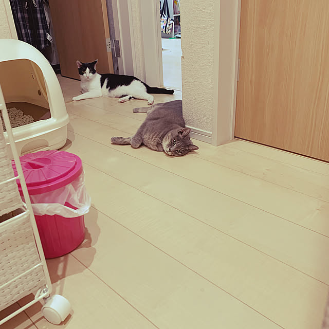 mshio1210さんの実例写真