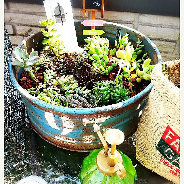 amamiさんの実例写真