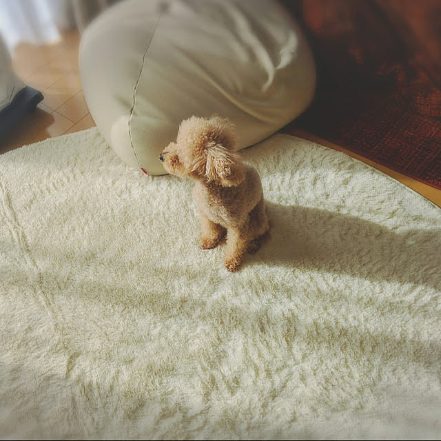HIROMINさんの実例写真