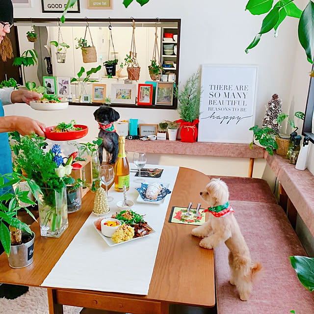 risaさんの実例写真