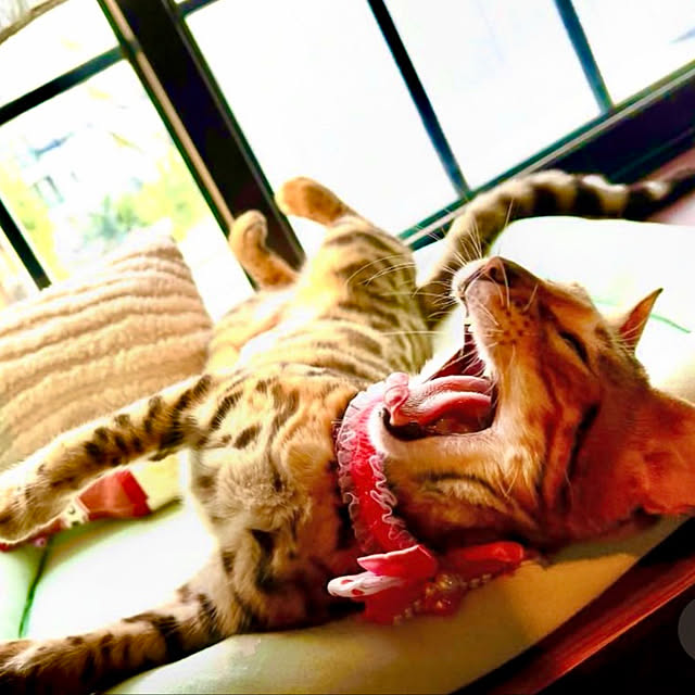 tututu0204さんの部屋