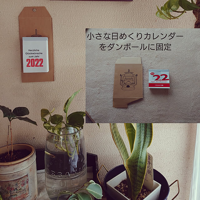 fukuさんの実例写真