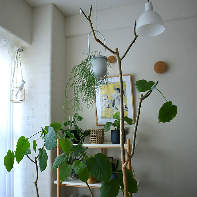 Hisayoさんの部屋