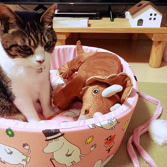 civicglさんの実例写真