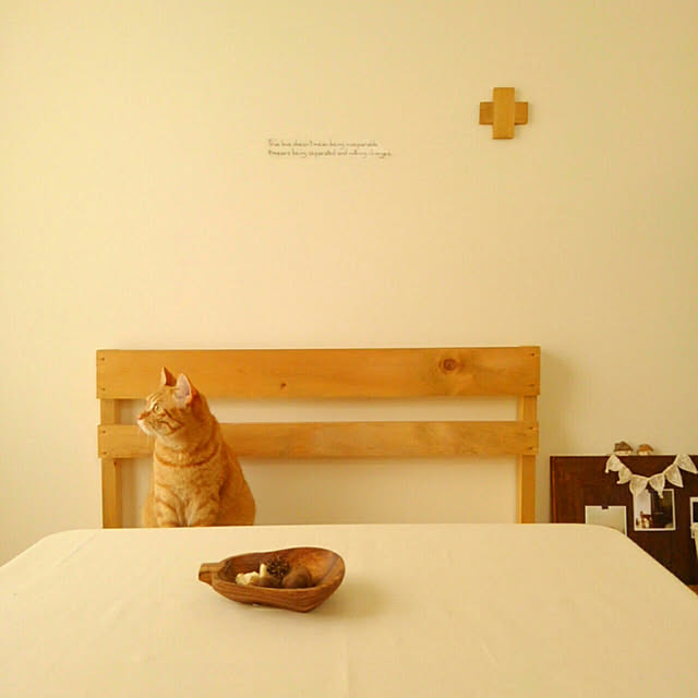 mayutan.さんの実例写真