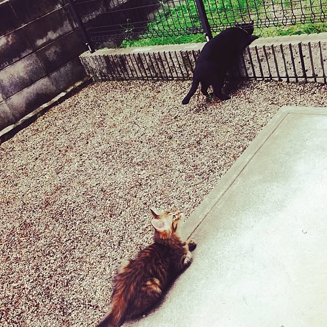 Kumiさんの実例写真