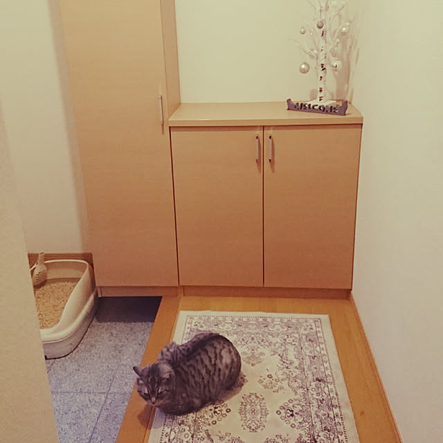 nicoさんの実例写真