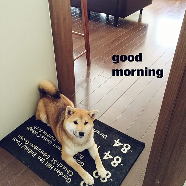 Gingaさんの実例写真