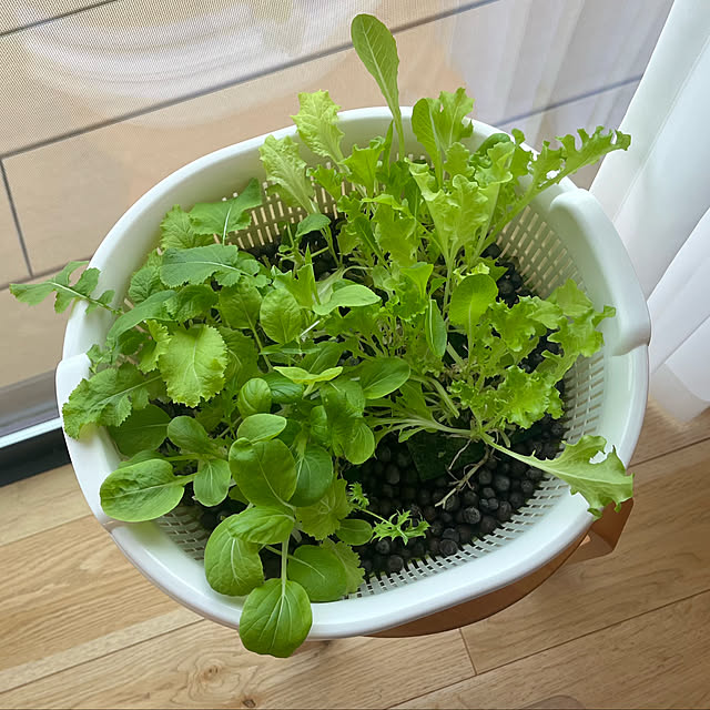 take_nokoさんの部屋