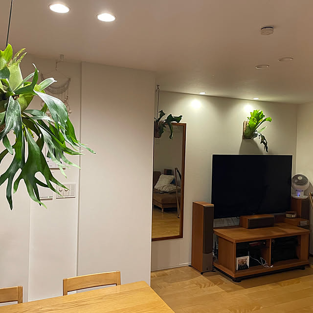 halさんの実例写真