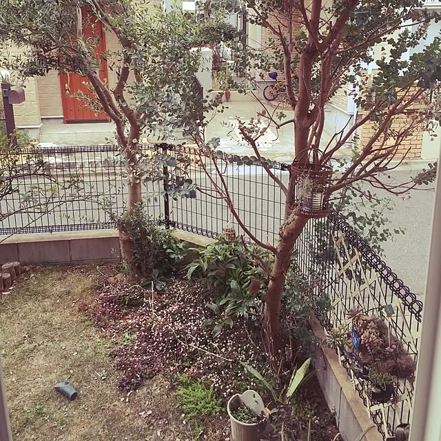 yupponさんの実例写真