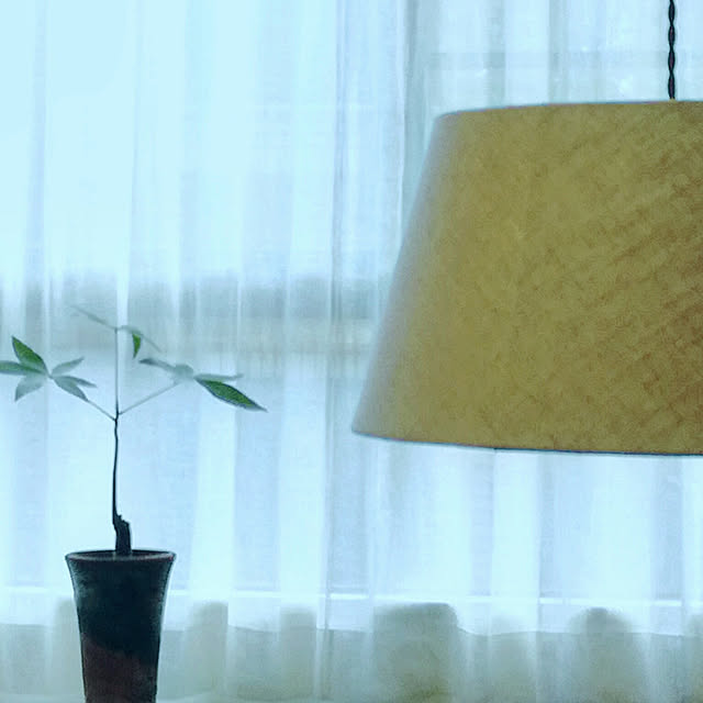 shige0922さんの実例写真