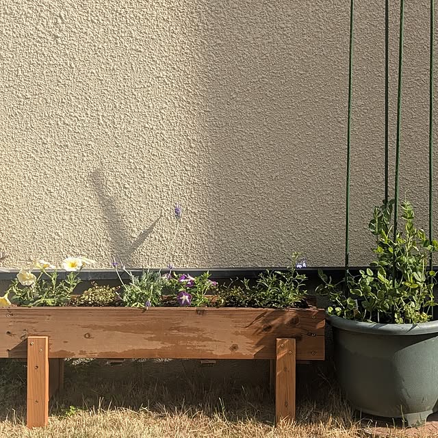 reeさんの実例写真