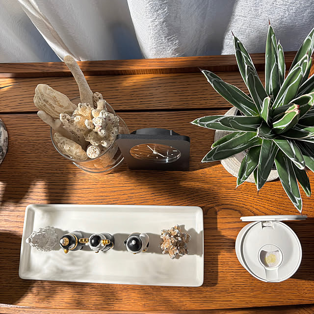 kyoko1124koさんの部屋