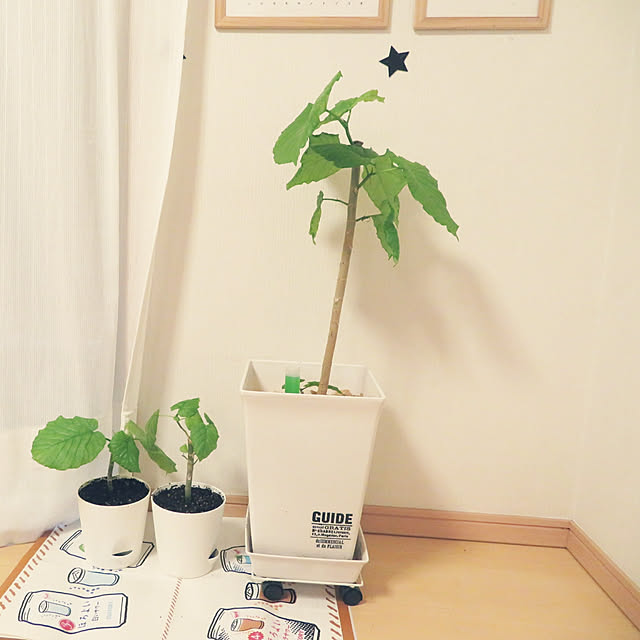 m.m_2009さんの実例写真