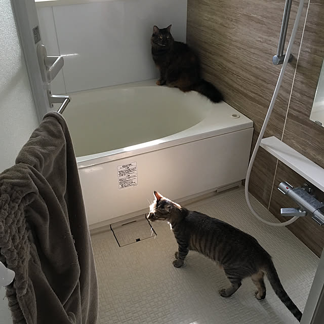 mikomaruさんの実例写真
