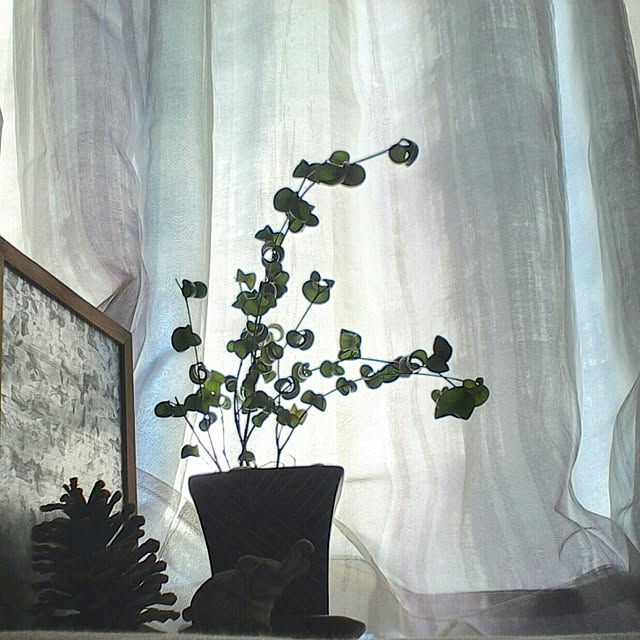 elephant1219さんの実例写真