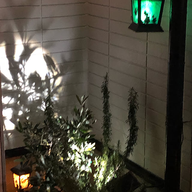 実例写真