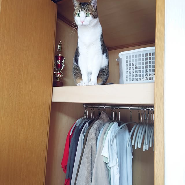 nachiさんの実例写真