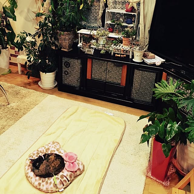 mcomcoさんの実例写真