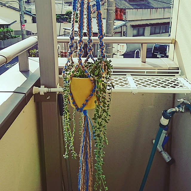 kingbeeさんの実例写真